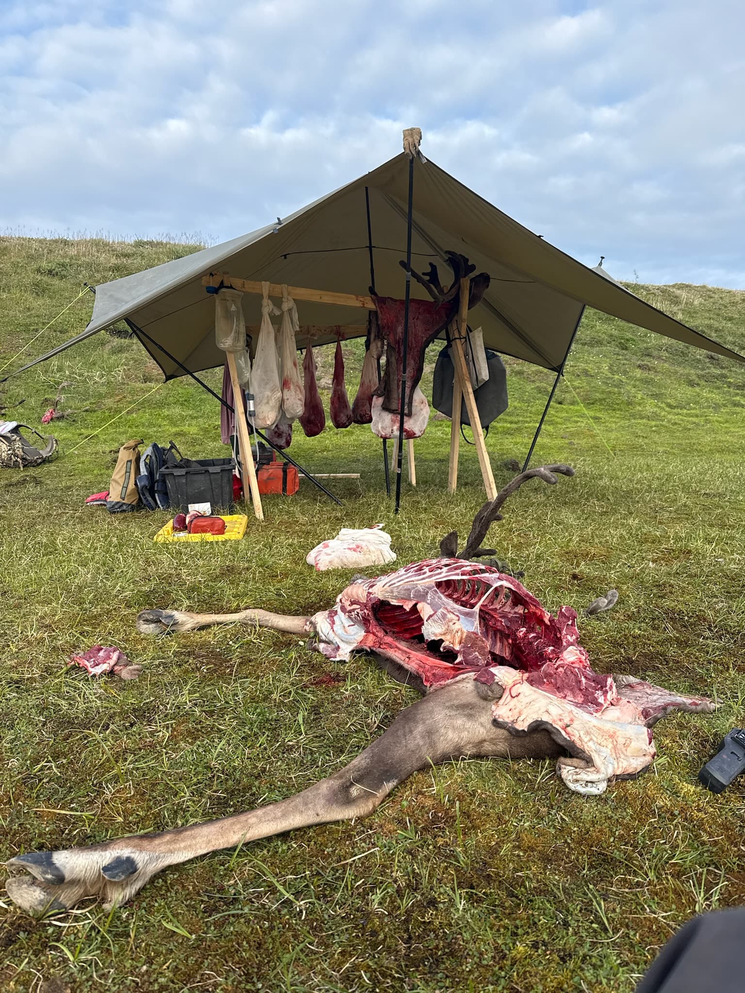 2x4x8 Meat Rack